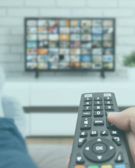 Danskernes medieforbrug 2024