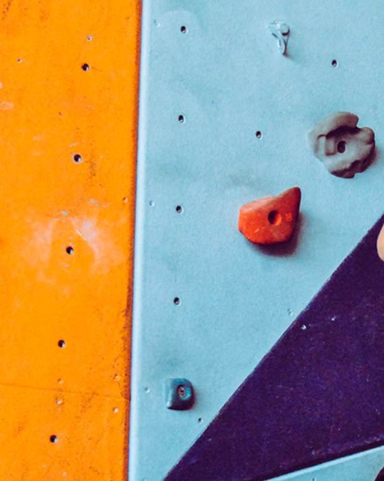 Tress_cover5|tress_coverbillede|tress_banner|tress_høj1|Tress_kvadrat1|tress_banner1|tress_banner2|Tress_banner5|tress case