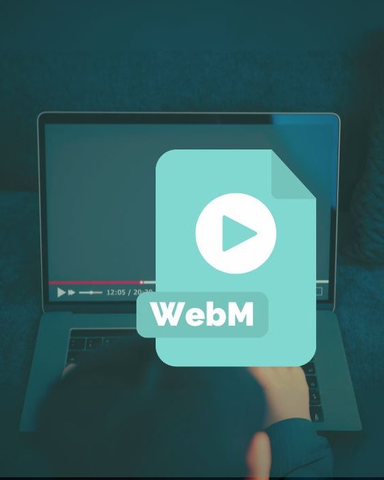 WebM-videoer